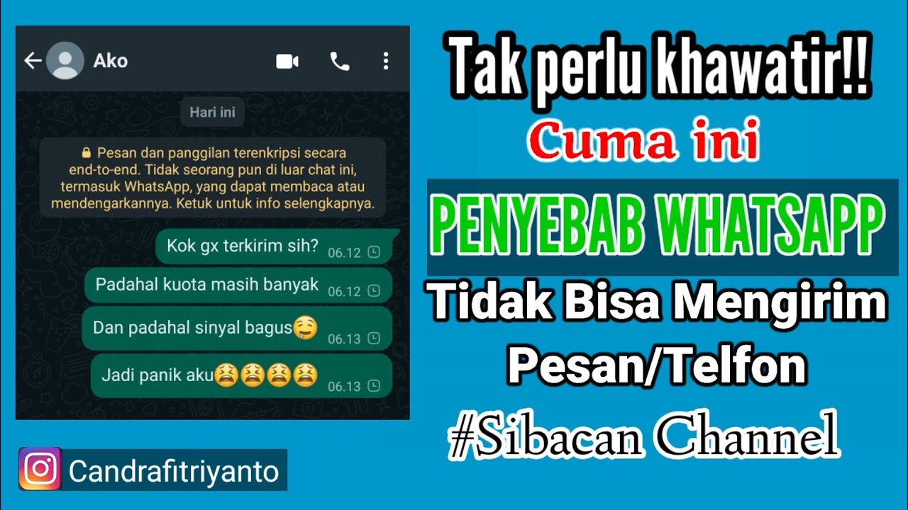 Wa tidak bisa mengirim pesan padahal jaringan bagus