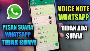 Kenapa suara whatsapp tidak ada